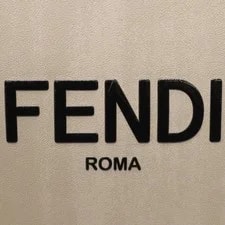 Fendi Small Crossbody From Japan 4