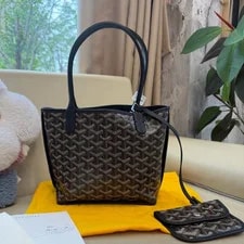 Goyard Anjou With SHW