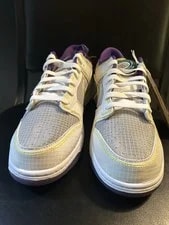 Nike Dunk Low Union Passport Pack Court 4