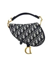 Christian Dior Small Size Saddle DR524 2