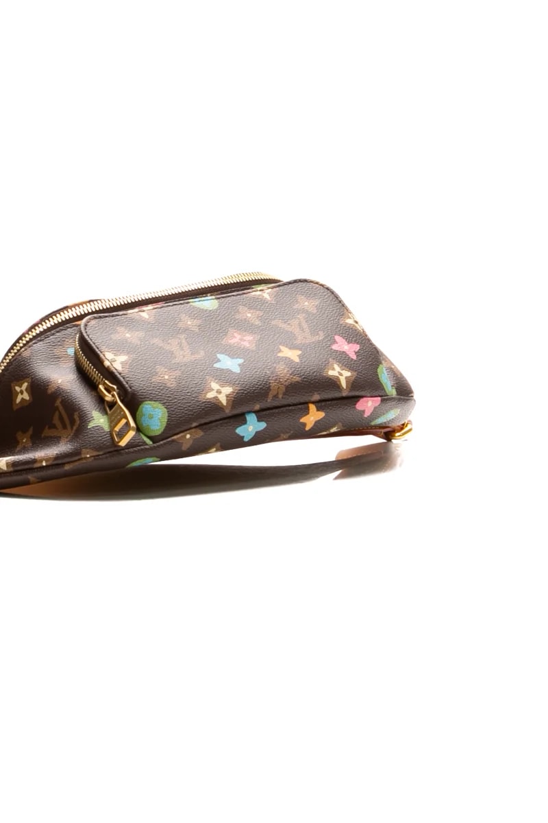 X Tyler the Creator Craggy Rush Bumbag 4