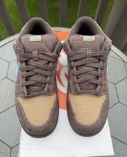 Size 11 - Nike SB Dunk Low 6.0 Baroque Gum. 314142-205. 4