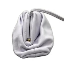 Bottega Veneta Mini the Pouch 585852 3