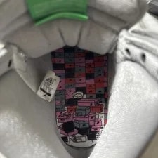 Size 9.5 Nike SB Dunk High Box 4