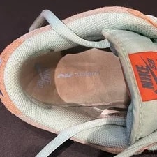 Nike Dunk SB Low Size 10 Rise DV5429-800 3