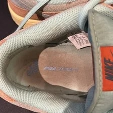 Nike Dunk SB Low Size 10 Rise DV5429-800 4
