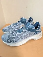 11.0US Reebok Limited Edition Zig Kinetica II 2
