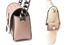 Bottega Veneta /Accessory Pouch Chain Strap Light / Use 2