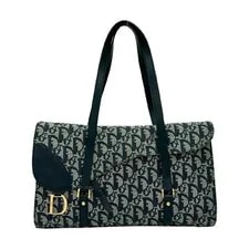 Christian Dior Saddle Trotter Pattern Semi Should 2