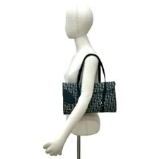 Christian Dior Saddle Trotter Pattern Semi Should 3