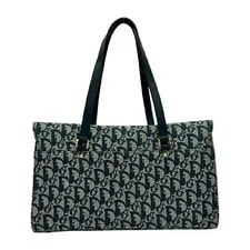 Christian Dior Saddle Trotter Pattern Semi Should 4