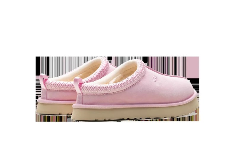 Tazz Dazzle GS " 1174130K Rbnc 3