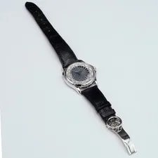 Patek Philippe World Time 5110P 4