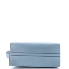 Prada Monochrome With City Calf Medium 4