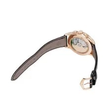 Patek Philippe Annual Calendar, Complications 5905R-001 42mm Brown #WW3266 4