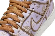 Nike SB Dunk Low Pro PRM City of Style Pastoral Pack FN5880-001 3