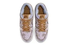 Nike SB Dunk Low Pro PRM City of Style Pastoral Pack FN5880-001 4