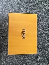 Fendi X Sarah Coleman Vertigo Belt (Mimosa) - Pristine Full SET 3