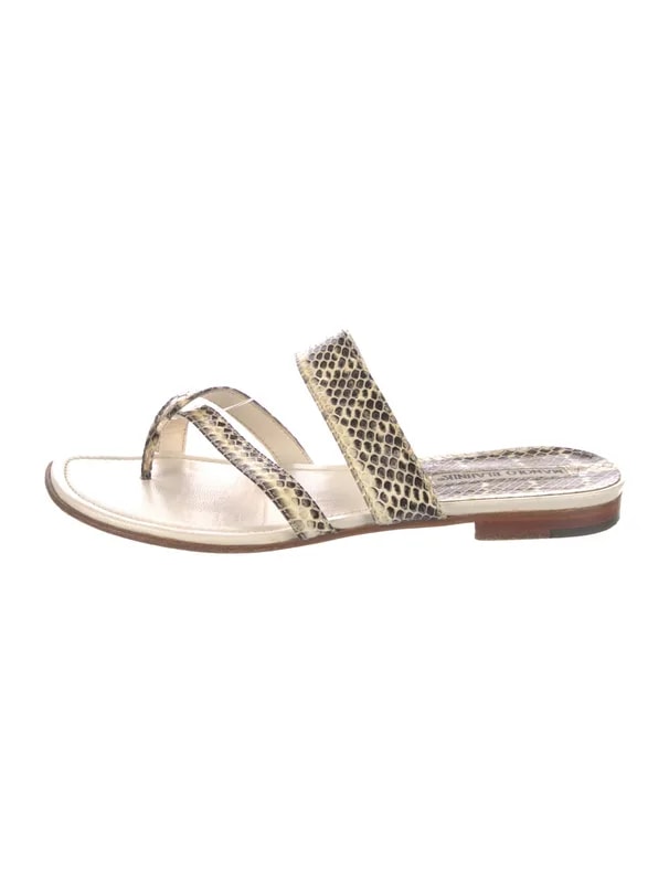 Animal Print Slides 2