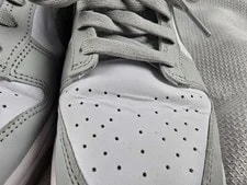 Nike Dunk Low Fog Shoes Size 9.5 DD1391-103 3