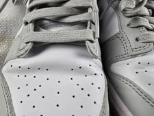 Nike Dunk Low Fog Shoes Size 9.5 DD1391-103 4