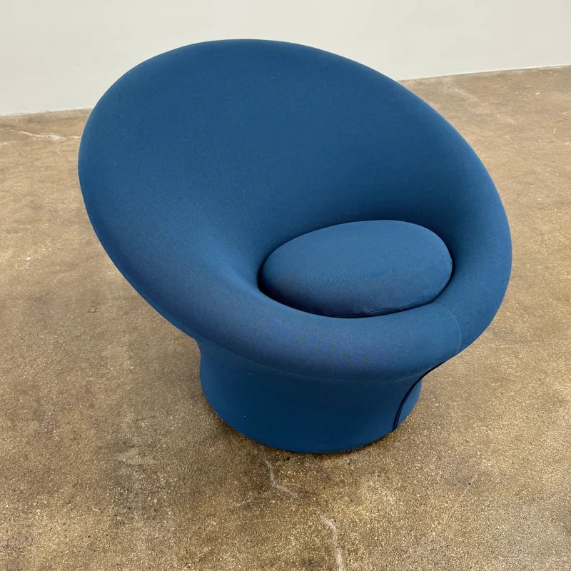 Artifort & Ottoman 3