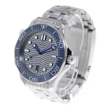 Omega Seamaster 300 210.30.42.20.06.001 42mm SS Gray #C3572 2