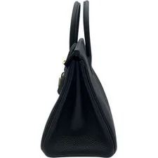 Hermes Birkin 25 Candy ▢P刻印 Japan Ookura 3