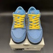 Size 10 - the Powerpuff X Nike Dunk Pro SB QS Low Bubbles 2
