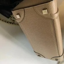 Celine Luggage Official 2