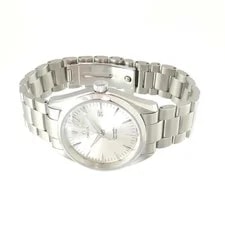 Omega Seamaster Aqua Terra 2517.30 Quartz Silver Stainless Steel F/S 2