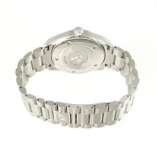 Omega Seamaster Aqua Terra 2517.30 Quartz Silver Stainless Steel F/S 3