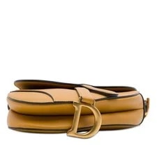 Dior Mini Grained Saddle Light 3