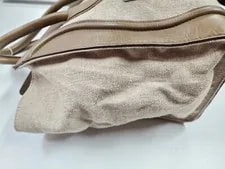 Celine Luggage Cloth 2