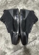 Air Jordan 3 Retro Cat 2025 4