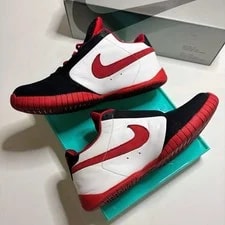 Nike SB Zoom Air URL 2003 9.5/ 11 OG Box Y2K 2