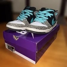 Nike SB — 10.0US Nike Sb Dunk Low Pro Elephant — Sneaker — resale