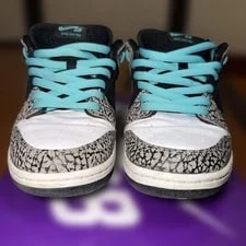 10.0US Nike Sb Dunk Low Pro Elephant 2