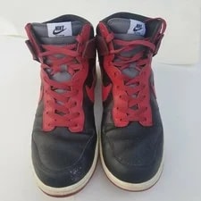 Nike Dunk High 2009 North Varsity ~ / ~ 317982-063 ~ 2