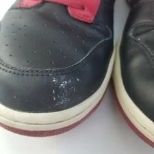 Nike Dunk High 2009 North Varsity ~ / ~ 317982-063 ~ 3