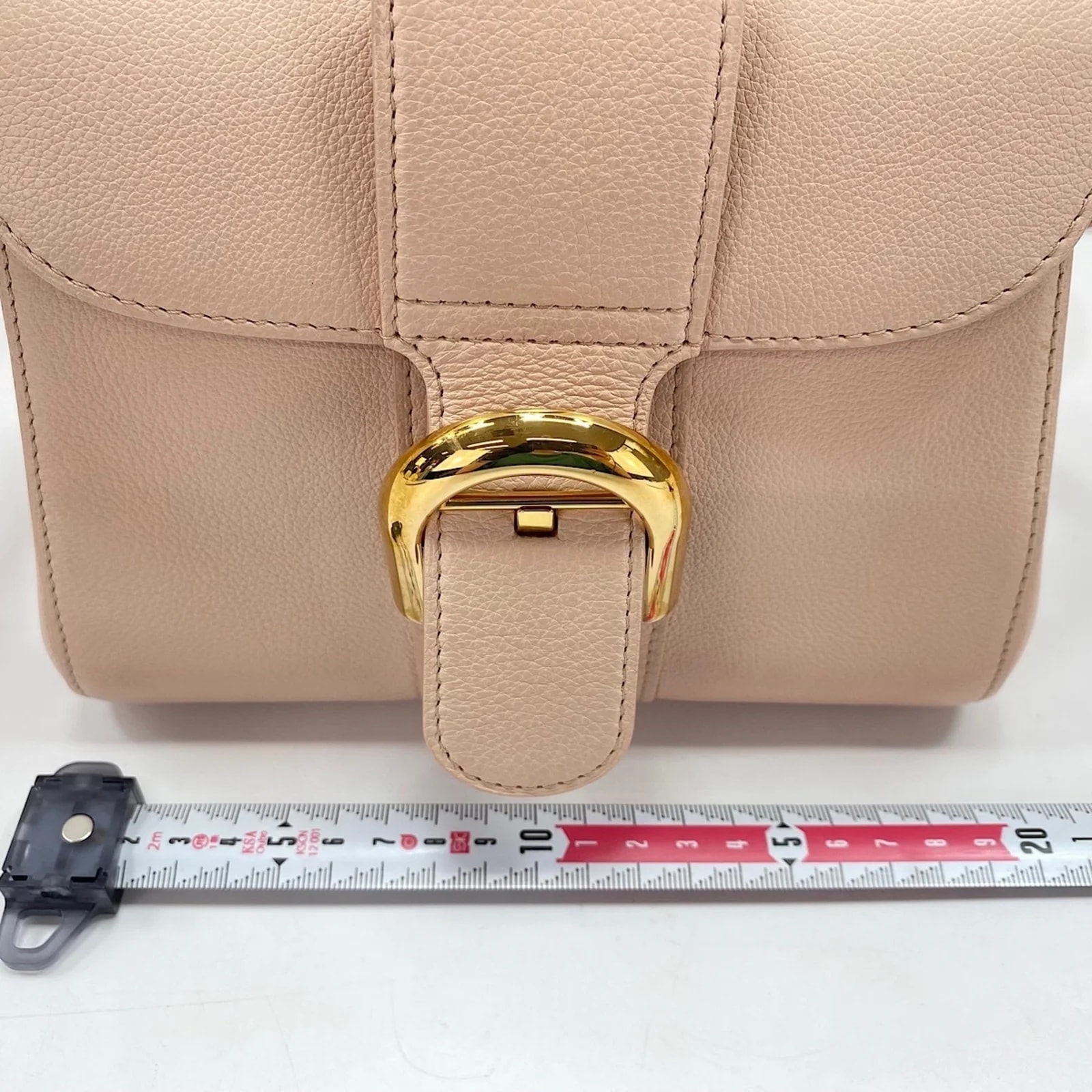 Delvaux Handbag 4