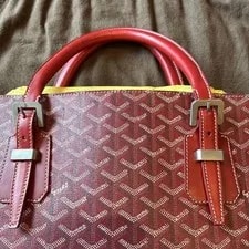 Goyard With Storage Limited Edition Vhtf Style Popula 3