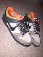 Nike — 2006 Nike Dunk Low CL Adventure Park / SB Size 9.5 304714 301 — Sneaker — resale