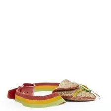Christian Dior John Galliano 2004 Rasta Trotter Monogram Belt 4