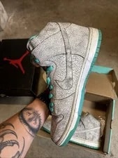 Size 10.5m - Nike Sb Dunk High 4