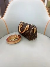 Authentic Louis Vuitton Speedy 2