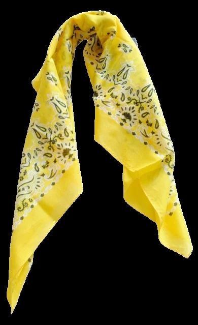 Saint Laurent — Saint Laurent Cotton Bandana Scarf — Accessory — resale