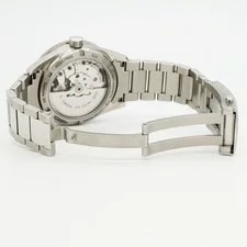 Omega Seamaster 300 Master Co-Axial 233.30.41.21.01.001 Black Dial 4