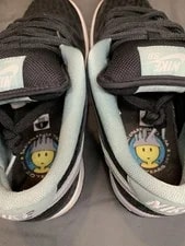 Nike SB Dunk Low Skatepark of Tampa 20 Years X Lance Mountain 4