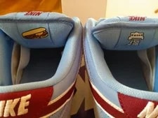 9.0US Nike Sb Dunk Low Pro Phillies 4